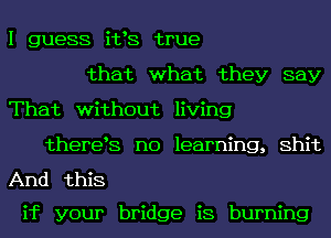 I guess i198 true
that what they say
That without living

theretS n0 learning, Shit

And this

if your bridge is burning