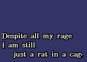 Despite all my rage
I am still
just a rat in a cagt