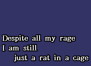 Despite all my rage
I am still
just a rat in a cage