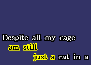 Despite all my rage
am QED
33133 El rat in a