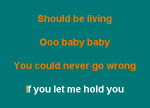 Should be living

000 baby baby

You could never go wrong

If you let me hold you