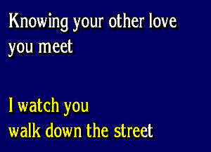 Knowing your other love
you meet

lwatch you
walk down the street