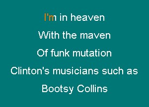 I'm in heaven
With the maven
Of funk mutation

Clinton's musicians such as

Bootsy Collins