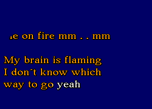 .e on fire mm . . mm

My brain is flaming
I don't know which
way to go yeah