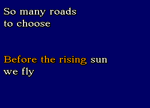 So many roads
to choose

Before the rising sun
we fly