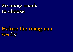 So many roads
to choose

Before the rising sun
we fly