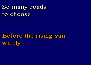 So many roads
to choose

Before the rising sun
we fly