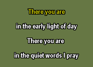 There you are
in the early light of day

There you are

in the quiet words I pray
