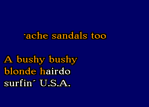 'ache sandals too

A bushy bushy
blonde hairdo
surfin' U.S.A.