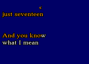 5

just seventeen

And you know
What I mean