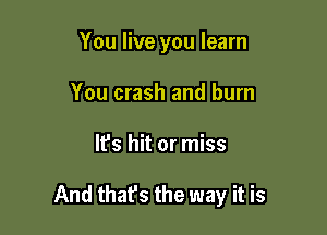 You live you learn
You crash and burn

It's hit or miss

And thafs the way it is