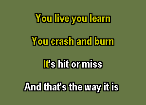 You live you learn
You crash and burn

It's hit or miss

And thafs the way it is