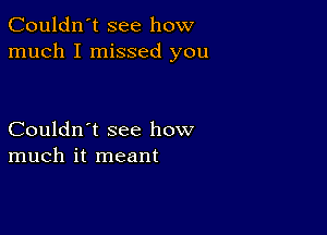 Couldn't see how
much I missed you

Couldn't see how
much it meant