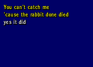 You can't catch me
'cause the rabbit done died
yes it did