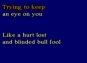 Trying to keep
an eye on you

Like a hurt lost
and blinded bull fool