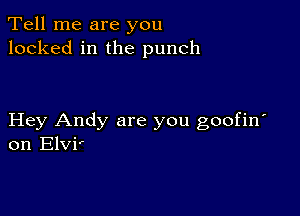 Tell me are you
locked in the punch

Hey Andy are you goofin'
on Elvi'