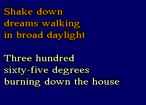 Shake down
dreams walking
in broad daylight

Three hundred
sixty-five degrees
burning down the house