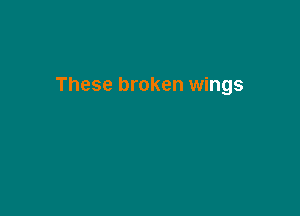 These broken wings