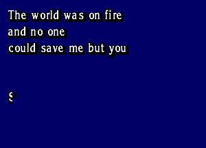 The world was on fire
and no one
could save me but you