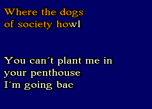 XVhere the dogs
of society howl

You can't plant me in
your penthouse
I'm going bac