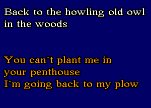 Back to the howling old owl
in the woods

You can't plant me in
your penthouse
I'm going back to my plow