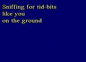 Sniffing for tid-bits
like you
on the ground