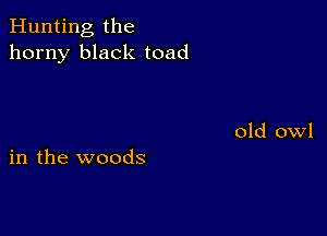 Hunting the
horny black toad

in the woods