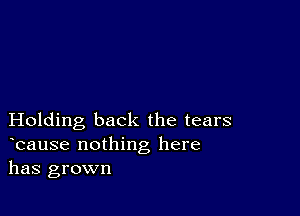 Holding back the tears
bause nothing here
has grown