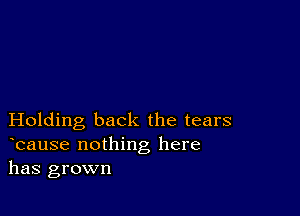 Holding back the tears
bause nothing here
has grown