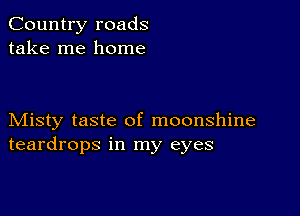 Country roads
take me home

Misty taste of moonshine
teardrops in my eyes