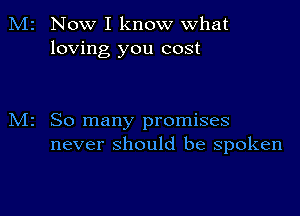 Now I know what
loving you cost

So many promises
never should be spoken