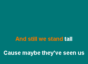 And still we stand tall

Cause maybe they've seen us