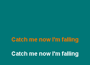 Catch me now I'm falling

Catch me now I'm falling