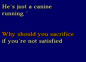 He's just a canine
running '

XVhy should you sacrifice
if you're not satisfied