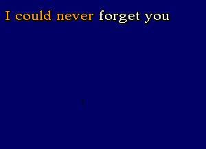 I could never forget you