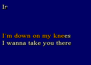 I m down on my knees
I wanna take you there