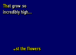 That grow so
incredibly high...

uSt the flowers