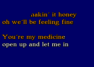 nakin' it honey
oh we'll be feeling fine

You're my medicine
open up and let me in