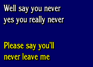 Well say you never
yes you really never

Please say you ll
never leave me