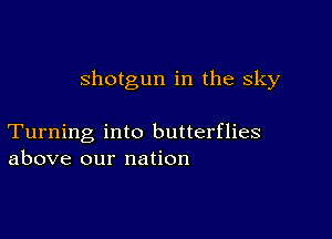 shotgun in the sky

Turning into butterflies
above our nation