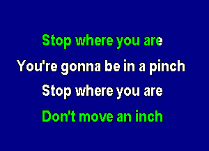 Stop where you are

You're gonna be in a pinch

Stop where you are
Don't move an inch