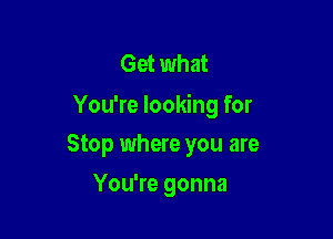 Get what
You're looking for

Stop where you are
You're gonna