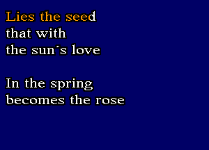 Lies the seed
that with
the sun's love

In the spring
becomes the rose