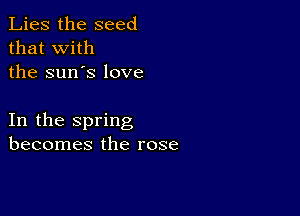 Lies the seed
that with
the sun's love

In the spring
becomes the rose