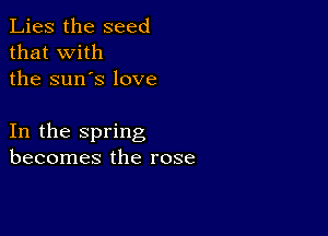 Lies the seed
that with
the sun's love

In the spring
becomes the rose