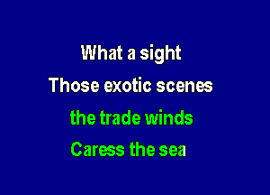 What a sight
Those exotic scenes

the trade winds
Caress the sea