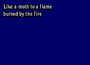 Like a moth toa flame
burned by the fire