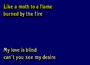 Like a moth toa flame
burned by the fire

My love is blind
can't you see my desire