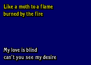 Like a moth toa flame
burned by the fire

My love is blind
can't you see my desire