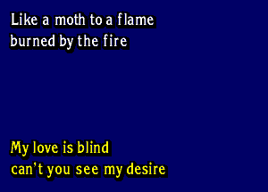 Like a moth toa flame
burned bythe fire

My love is blind
can't you see my desire